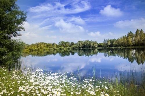 Lake Pochard Holiday Lodges Южен Сърни Екстериор снимка